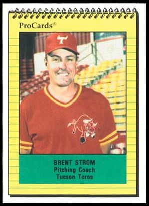 91PC 2230 Brent Strom.jpg